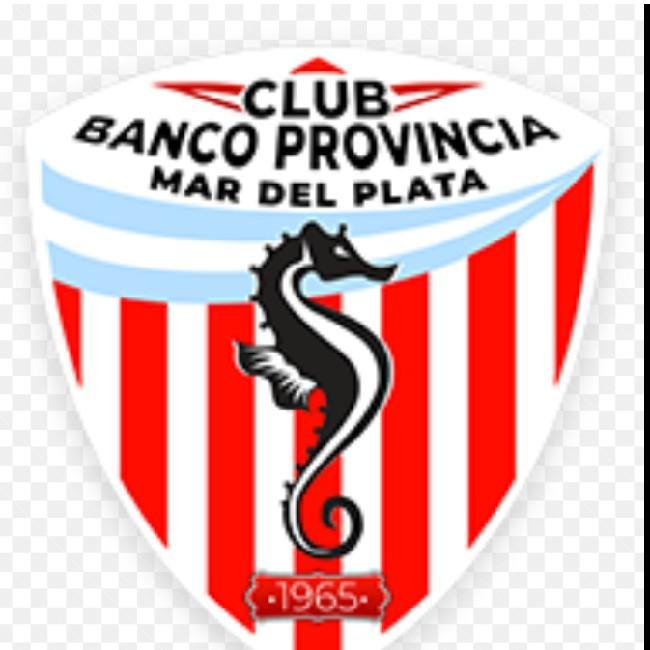 BANCO PROVINCIA ROJO