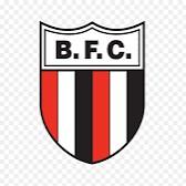 Botafogo-SP