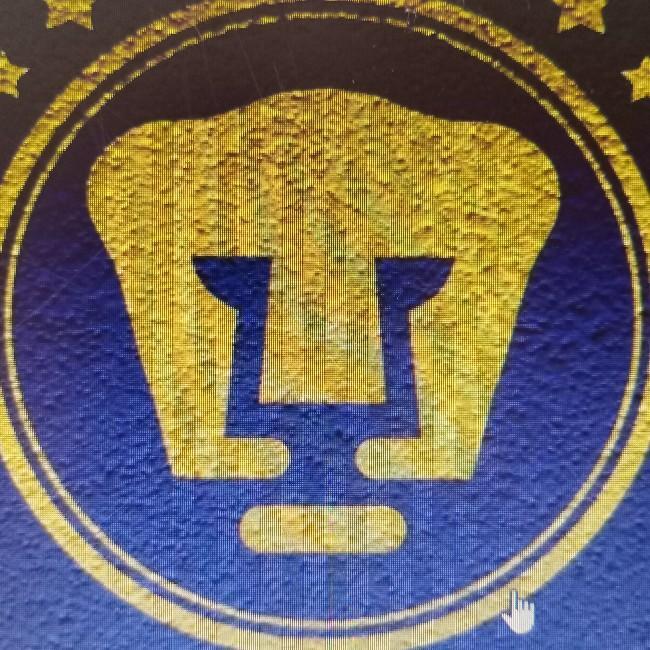 Pumas tabasco