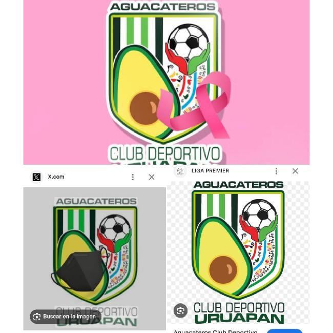 Aguacateros