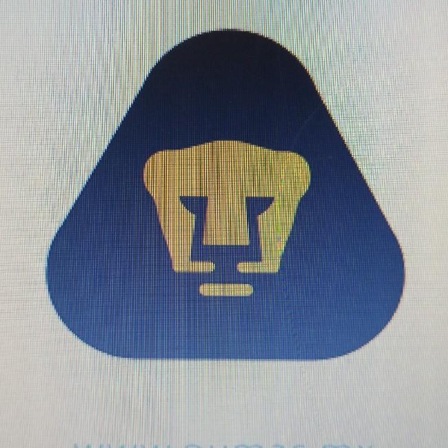 Pumas