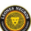 Leones Negros