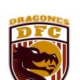 Dragones