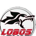 Lobos Buap