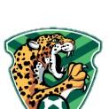 Jaguares