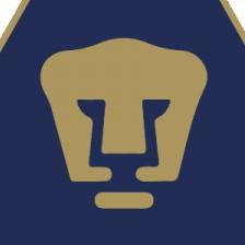 Pumas