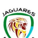 Jaguares