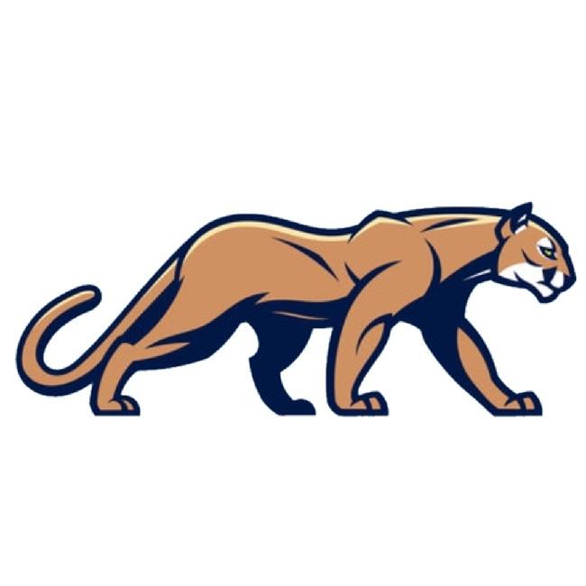 Minnesota Mountain Lions