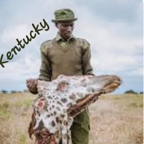 Kentucky Poachers