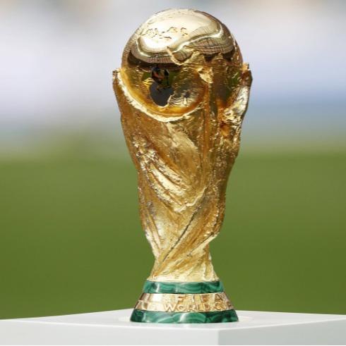 Wood-Ridge WorldCup 24'