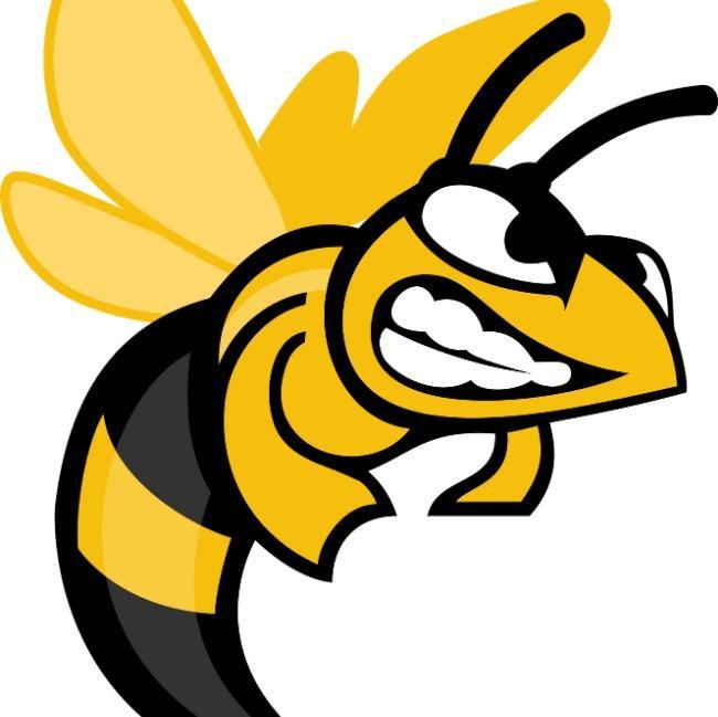 Suny Broom Hornets