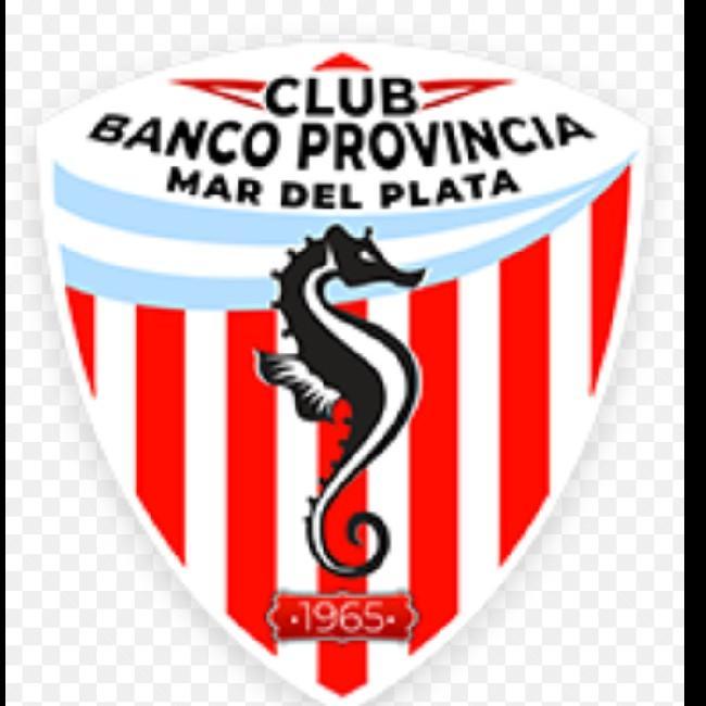 BANCO PROVINCIA NEGRO