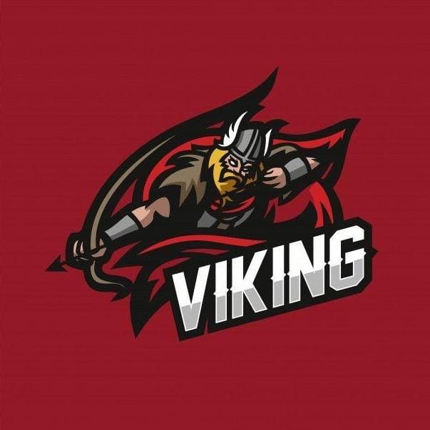 EFOOTBALL VIKINGS