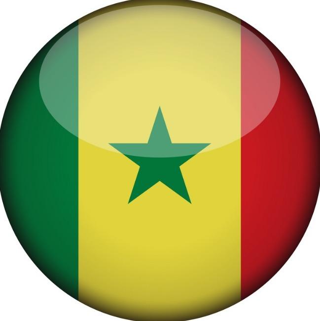 PAMELA 🇸🇳