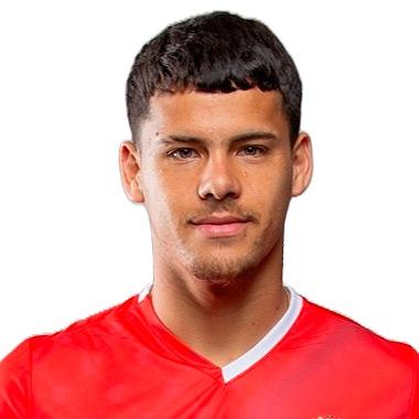 M.Araujo