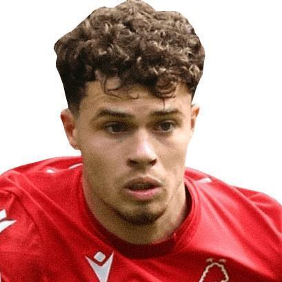 🏴󠁧󠁢󠁷󠁬󠁳󠁿 N. Williams