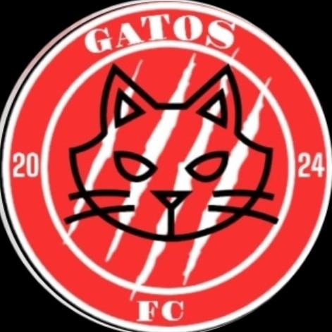 Gatos fc