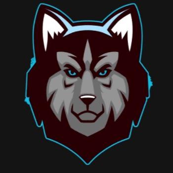 Minnesota Huskies