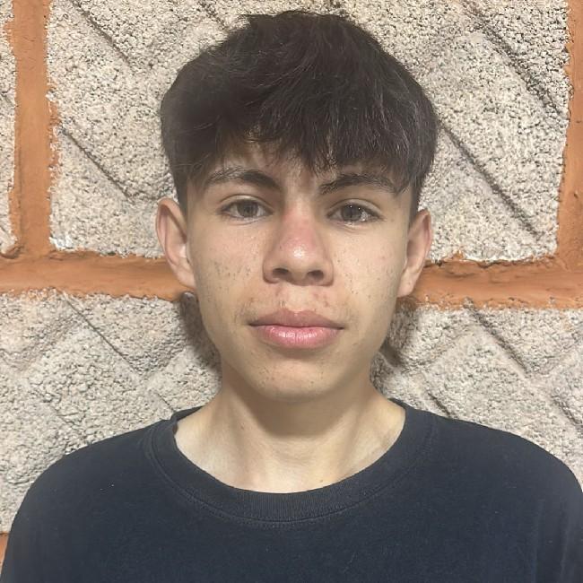 Ulises Flores cerezo