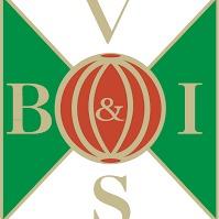 Varbergs BoIS