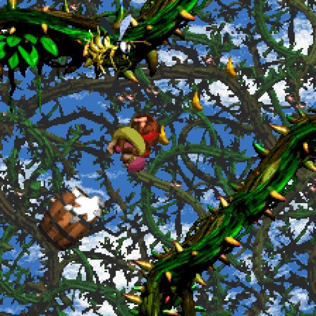 Donkey Kong Country - Stickerbush Symphony