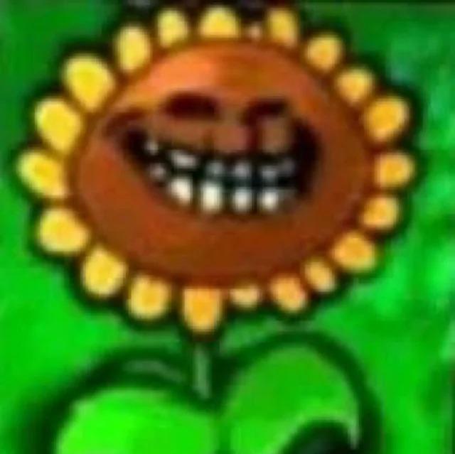 Plants vs. Zombies - Loonboon