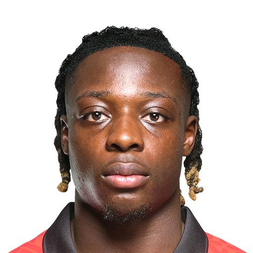 J.Doku