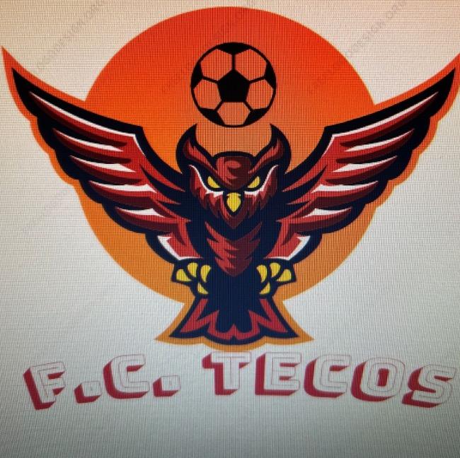 TECOS