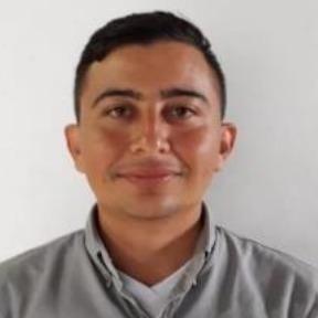 DIEGO ALBERTO RUIZ GUERRERO