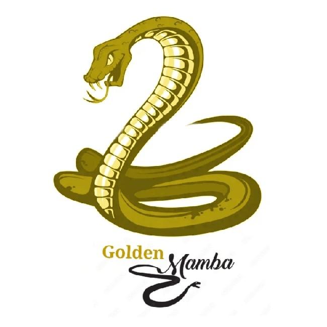 Golden MAMBA