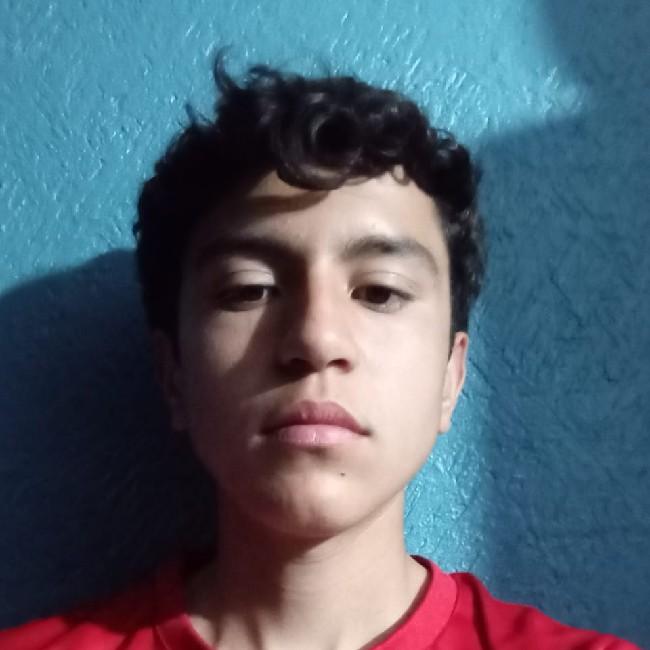 Luis canales perez