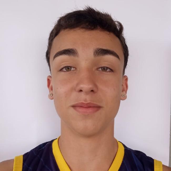 Artur Ferreira Martins Silva