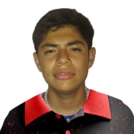 Diego Baez Castro.
