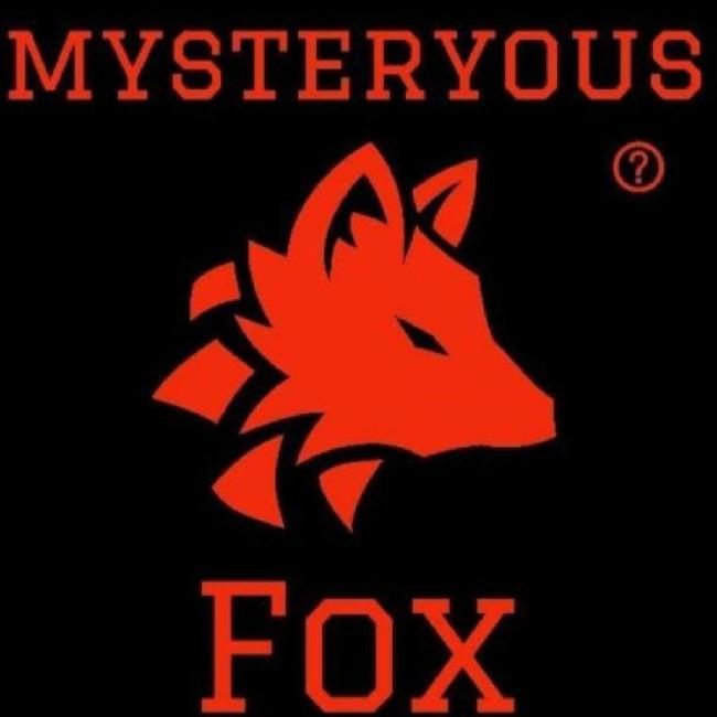 Mysterious Fox