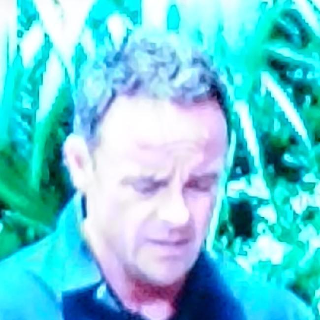 Ant