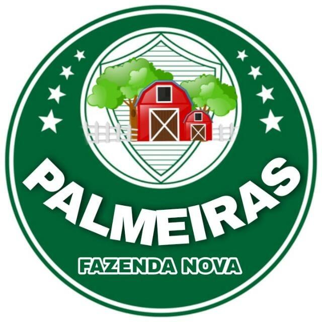 PALMEIRAS DA FAZENDA NOVA