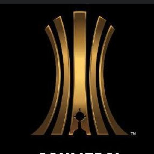 Libertadores 2024