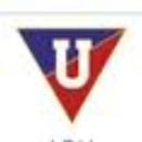 LDU