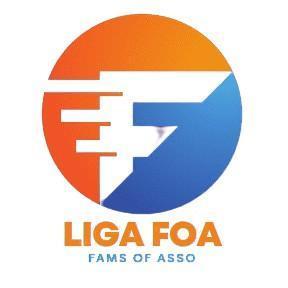 LIGA FOA GRUP 2