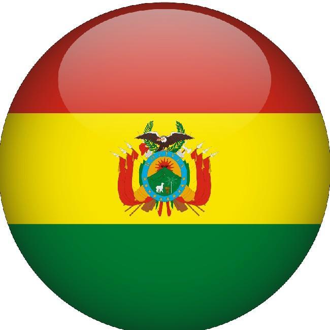 🇧🇴 Sansão