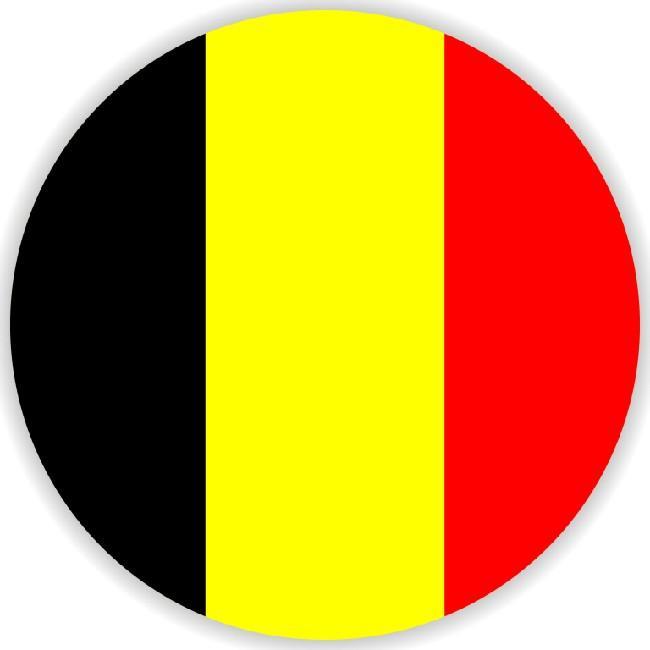 🇧🇪 Sérgio MJ