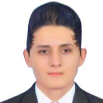 NESTOR FABIAN RINCON MARTINEZ