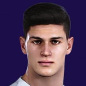 P. PELLEGRI