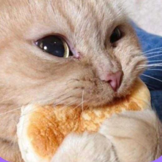 Cookie
