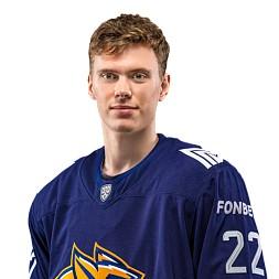 Флизекс