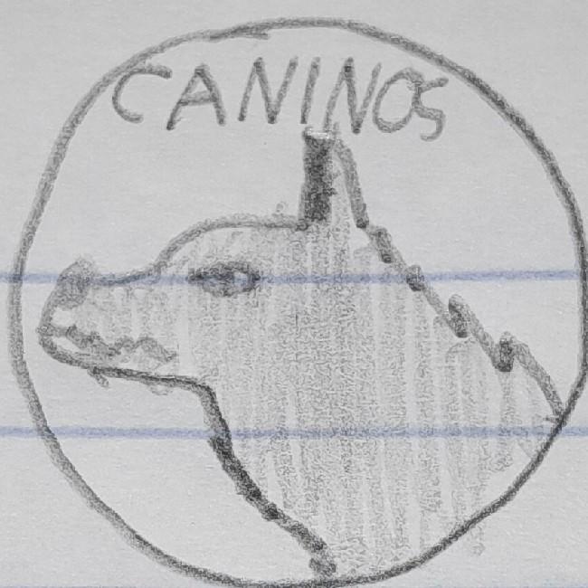 Caninos