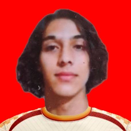 Julio Sebastian Baldivieso Quezada