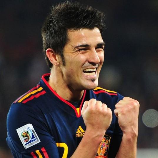 David villa (2010)