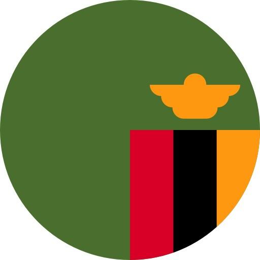 Birdo Mwepu