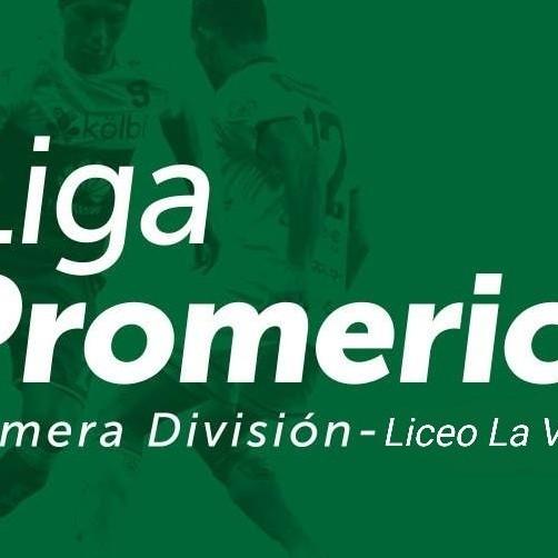 Liga Liceo La Virgen